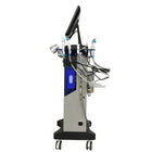 14-in-1 Total Facial Hydrodermabrasion Workstation 2