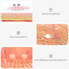 MythosSonic Compact Focused-Ultrasound Contour System 6